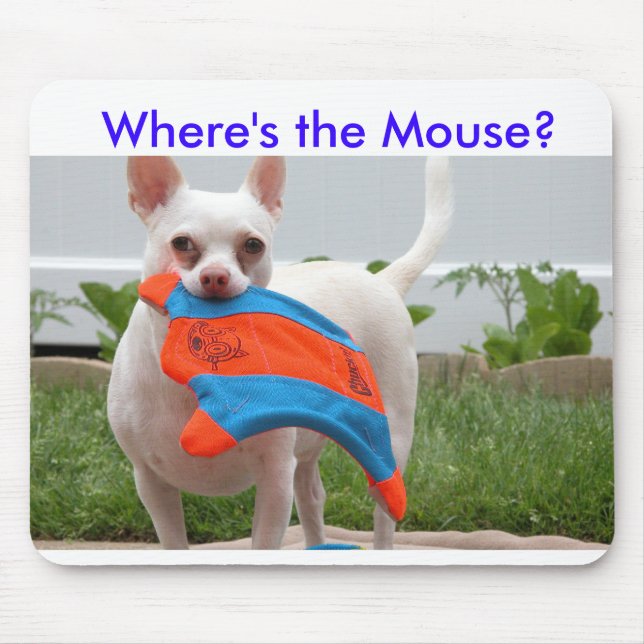 DSCN6701 var är musen? Musmatta (Framsidan)