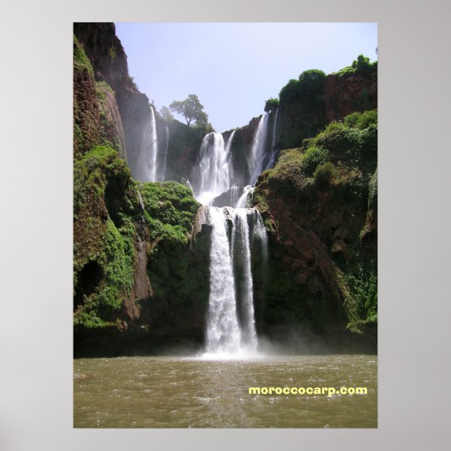 DSCN9348, moroccocarp.com Poster (Framsidan)