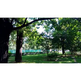 dsf-inbjudan inbjudningar