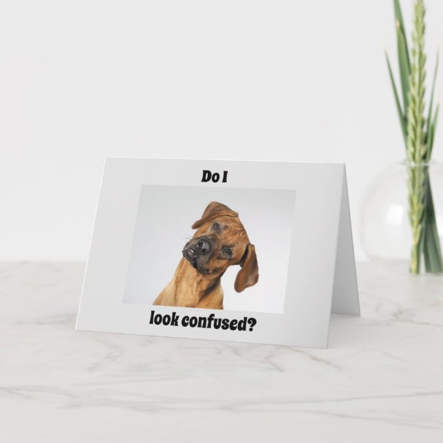 DU ÄR "16" SÄGER EN VIKTIG BIRTHDAY! KORT (Framsida)