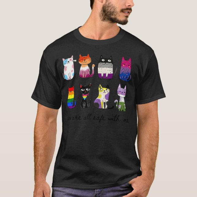 Du Är Allt Säker Med Mig Söt Katt Pride Månad T Shirt (Framsida)