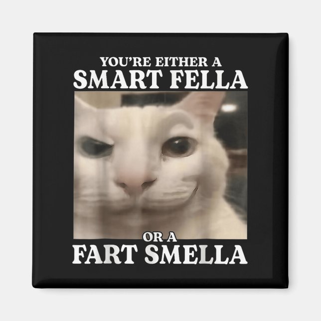 Du är antingen en smart kille eller en Fart Smella Magnet (Framsidan)