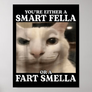 Du är antingen en smart kille eller en Fart Smella Poster