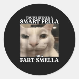Du är antingen en smart kille eller en Fart Smella Runt Klistermärke