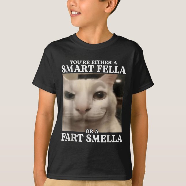 Du är antingen en smart kille eller en Fart Smella T Shirt (Framsida)