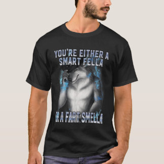 Du är Antingen En Smart Kille Eller En Fjärt Lukta T Shirt