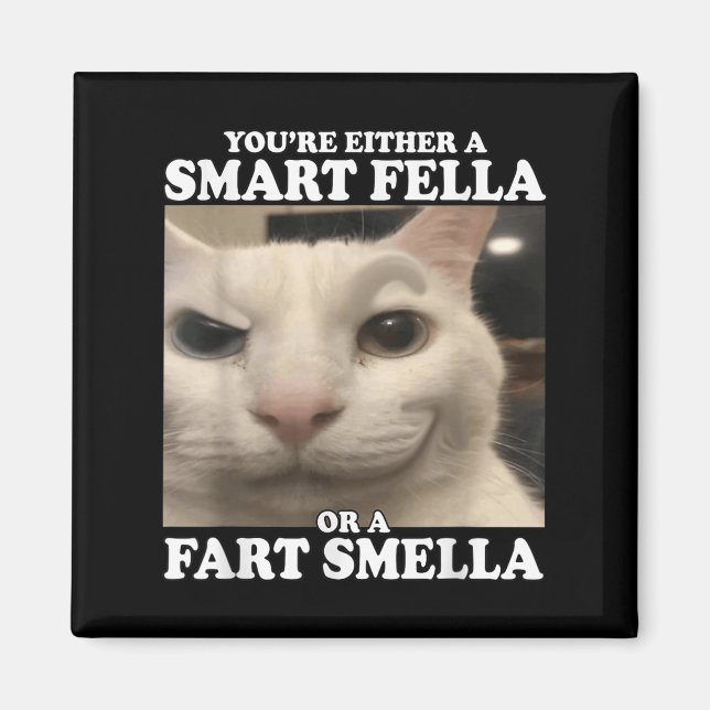 Du är antingen en smart kille eller en smart smell magnet (Framsidan)