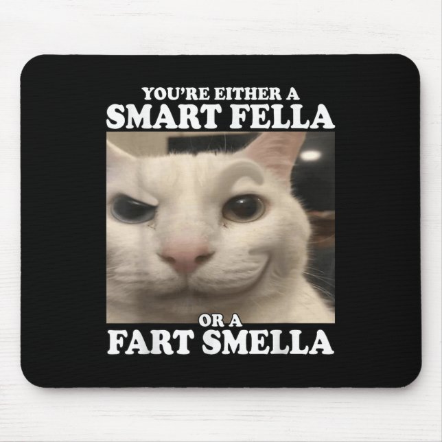 Du är antingen en smart kille eller en smart smell musmatta (Framsidan)