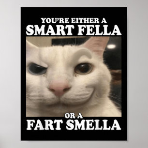 Du är antingen en smart kille eller en smart smell poster