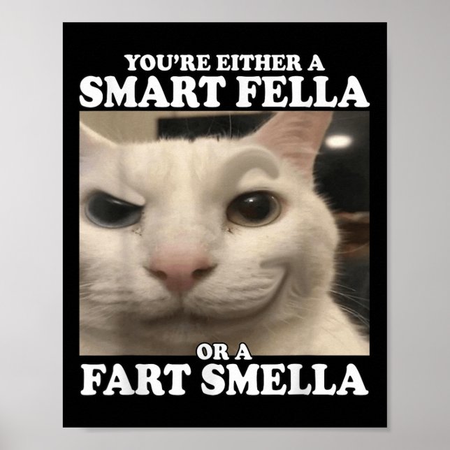 Du är antingen en smart kille eller en smart smell poster (Framsidan)