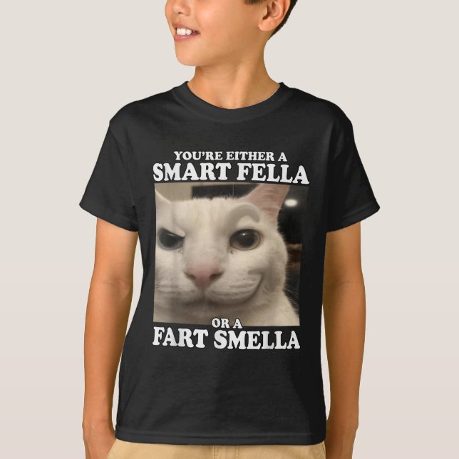 Du är antingen en smart kille eller en smart smell t shirt (Framsida)