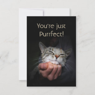 Du är bara Purrfect Kort