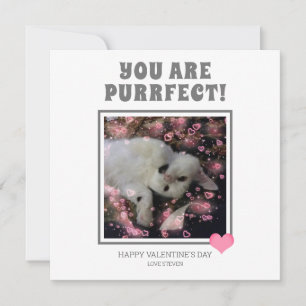 Du är befläckade Valentineser Cat Pun Namn Julkort