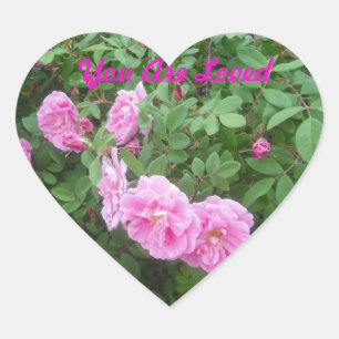 Du är den älskade rosa klistermärken