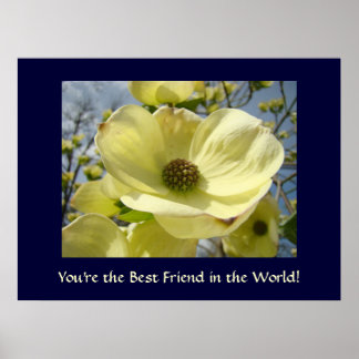 Du är den bästa vännen i världen! konst Dogwoods Poster