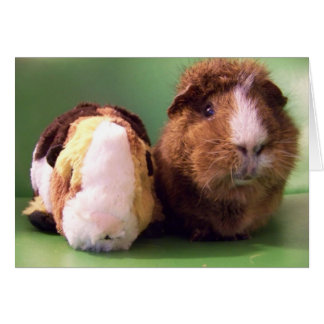 Du är det riktiga avtalskortet hälsningskort