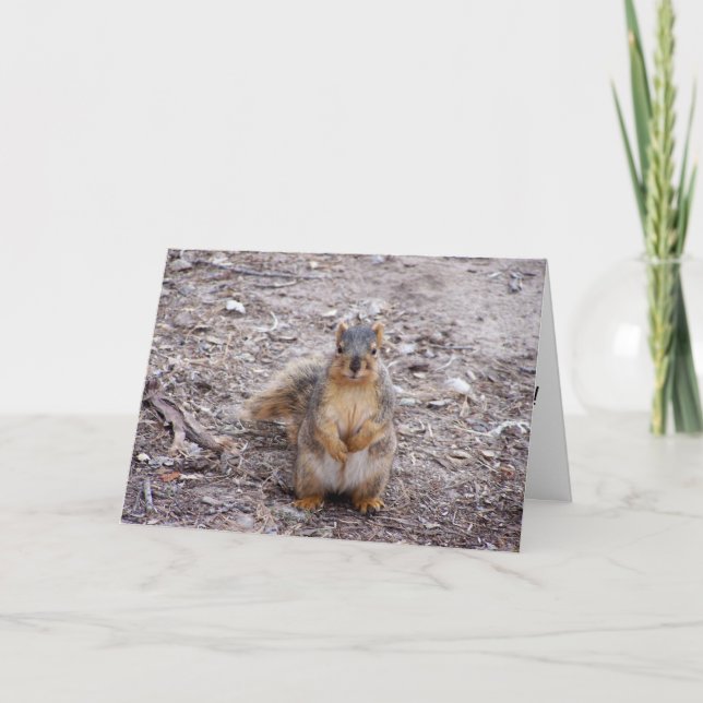 Du är en Nöt Kort (Framsida)