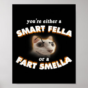 Du är en smart kille eller en fjärt stinkare meme  poster