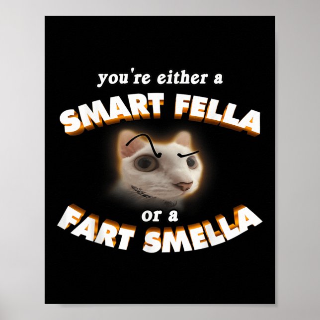 Du är en smart kille eller en fjärt stinkare meme  poster (Framsidan)