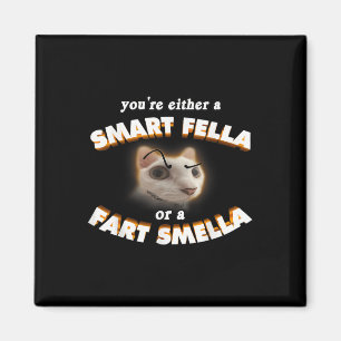 Du är en smart kille eller en knapp mellamuskatt magnet