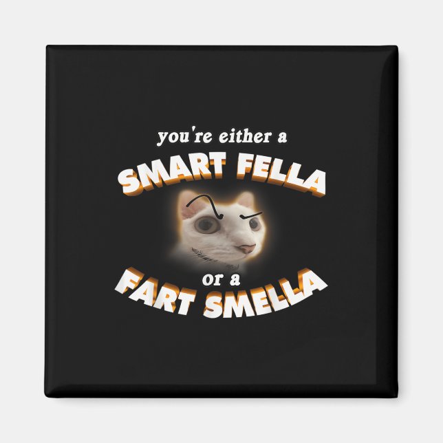Du är en smart kille eller en knapp mellamuskatt magnet (Framsidan)