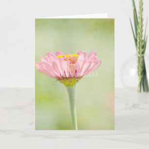 Du är en vacker Zinnia-blomma Kort