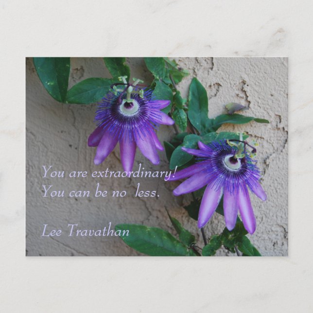 Du är enastående. Du kan inte vara mindre. Vykort (Framsida)