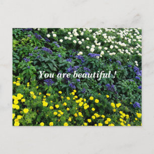 Du är ett vackert Garden Photo Postcard Vykort
