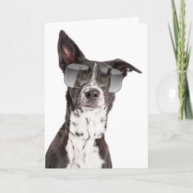 Du är ett Vänskap-kort för Coolor Kort (Framsida)