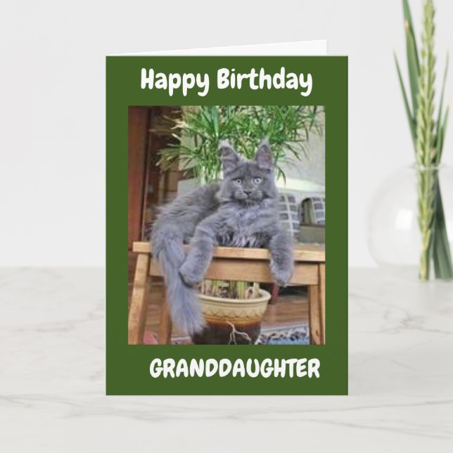 DU ÄR FANTASTISK **GRANDDAUGHTER** BIRTDAKORT KORT (Framsida)