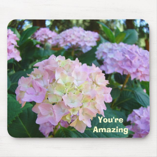 Du är fantastisk! musmattor gåvor Rosa Hydrangeas (Framsidan)