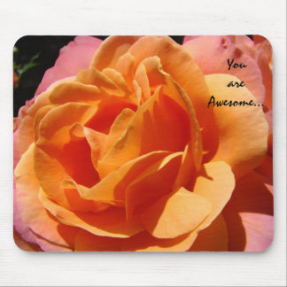 Du är fantastisk... Orange Rosa Ros Blommor Musmatta