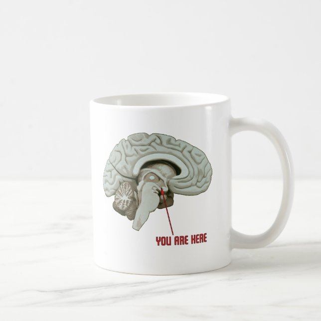 Du är här kaffemugg (Höger)