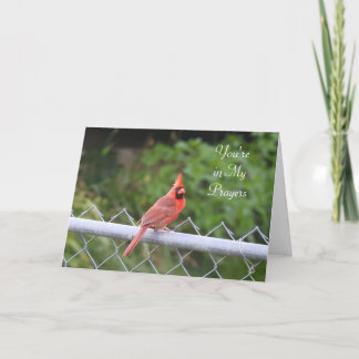 Du är i mina böner | Cardinal Photography Card Kort