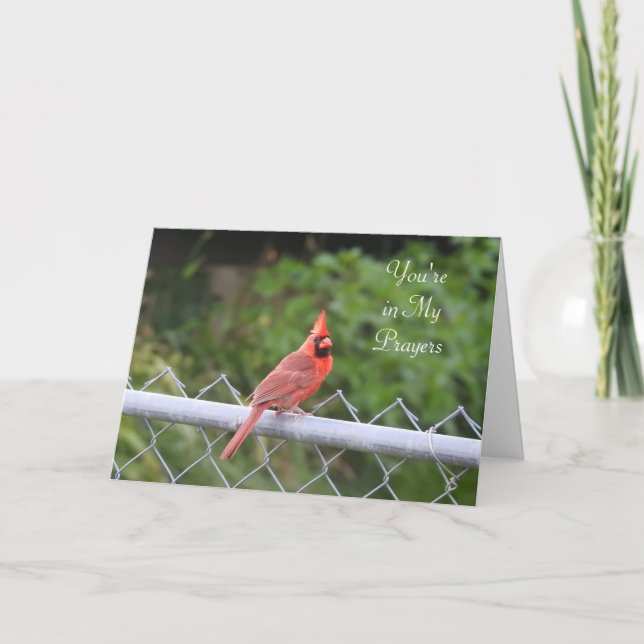 Du är i mina böner | Cardinal Photography-kort Kort (Framsida)