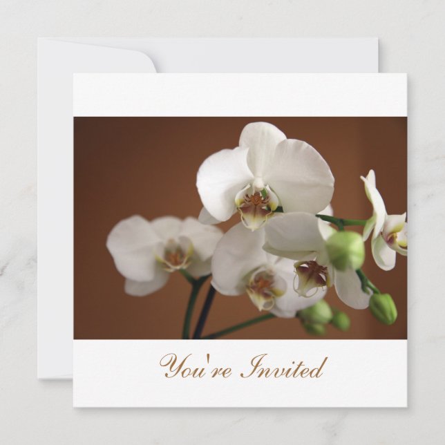 Du är inbjuden inbjudningar (Framsida)