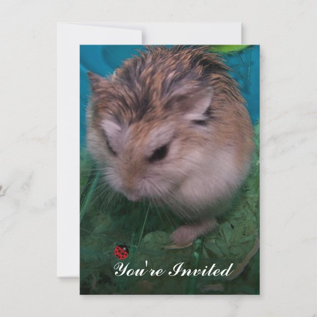 Du är inbjuden inbjudningar (Framsida)