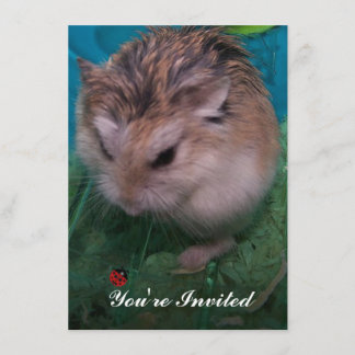 Du är inbjuden inbjudningar