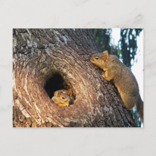 Du är inbjuden_ Postcard_by Elenne Inbjudan Vykort