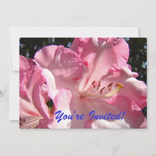 Du är inbjuden! Vi ses vid Party!inbjudningar Inbjudningar (Framsida)