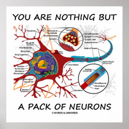 Du är inget annat än ett paket med Neurons (synaps Poster