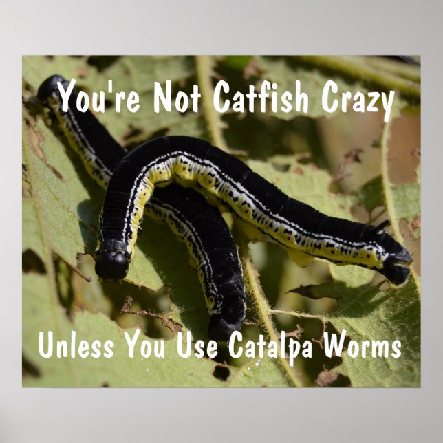 Du är inte Catfish Crazy Catalpa Mask Poster (Framsidan)