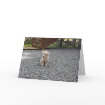 Du är inte det ensamma hälsningkortet