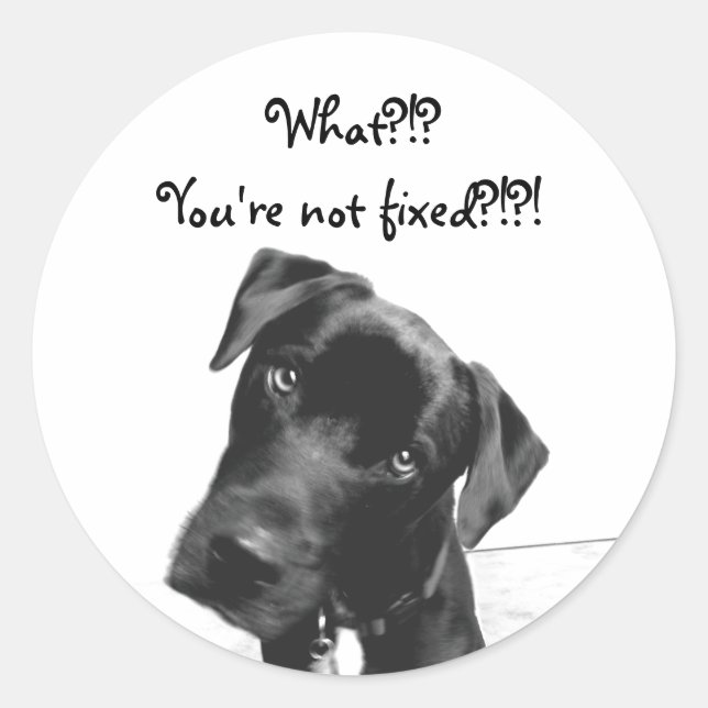 Du är inte fixerad runt klistermärke (Framsida)