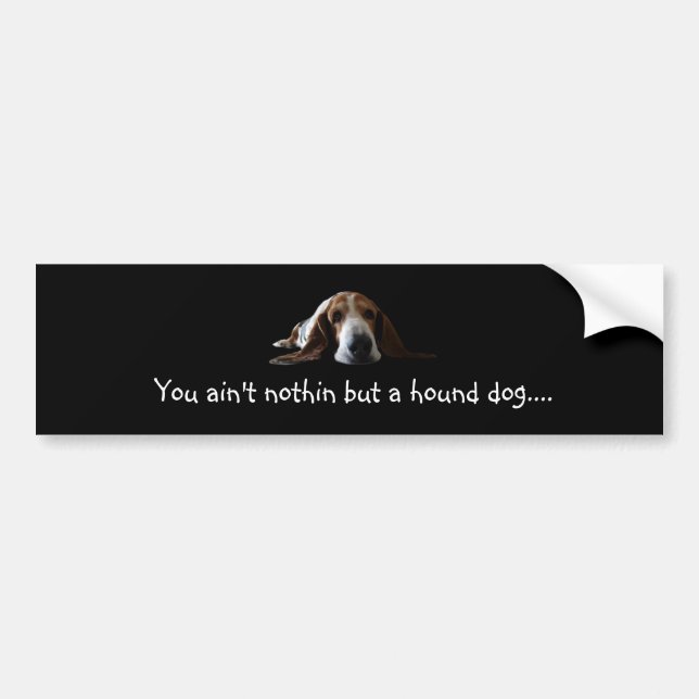 Du är inte nothin utan en hundhund bildekal (Framsidan)