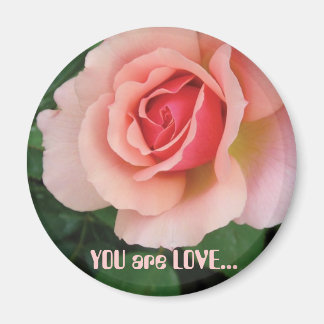 Du är KÄRLEK Magnet