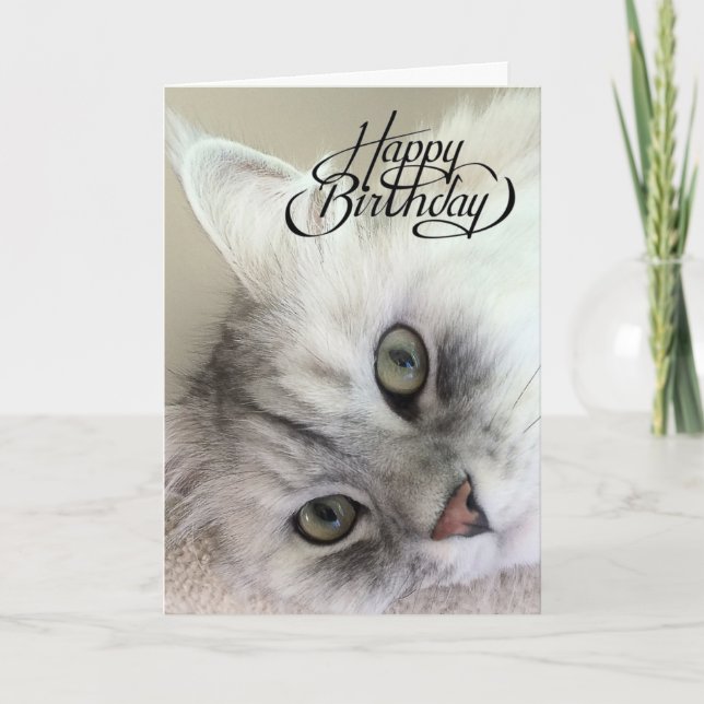 Du är Meowvelous Birthday Card Kort (Framsida)