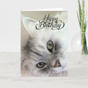 Du är Meowvelous Birthday Card Kort