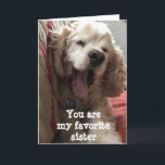 DU ÄR MIN FAVORITE ***SISTER*** BIRTHDAG KORT<br><div class="desc">MIN LILLA "DAKOTA" ÄR SÅ REDO ATT SÄGA "GRATTIS PÅ FÖDELSEDAGEN" FÖR DIG EFTERSOM DU INTE KAN GÖRA DET I PERSON!!!! HOPPAS ATT DU VILL HA DET HÄR KORTET OCH TACKEN SÅ MYCKET FÖR ATT DU STOPPAR MED ETT AV MINA ÅTTA LAGER!</div>