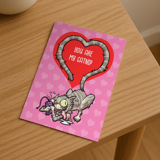 Du är min katnip-alternativunge Valentine Cat Helg Vykort (Skapare uppladdad)